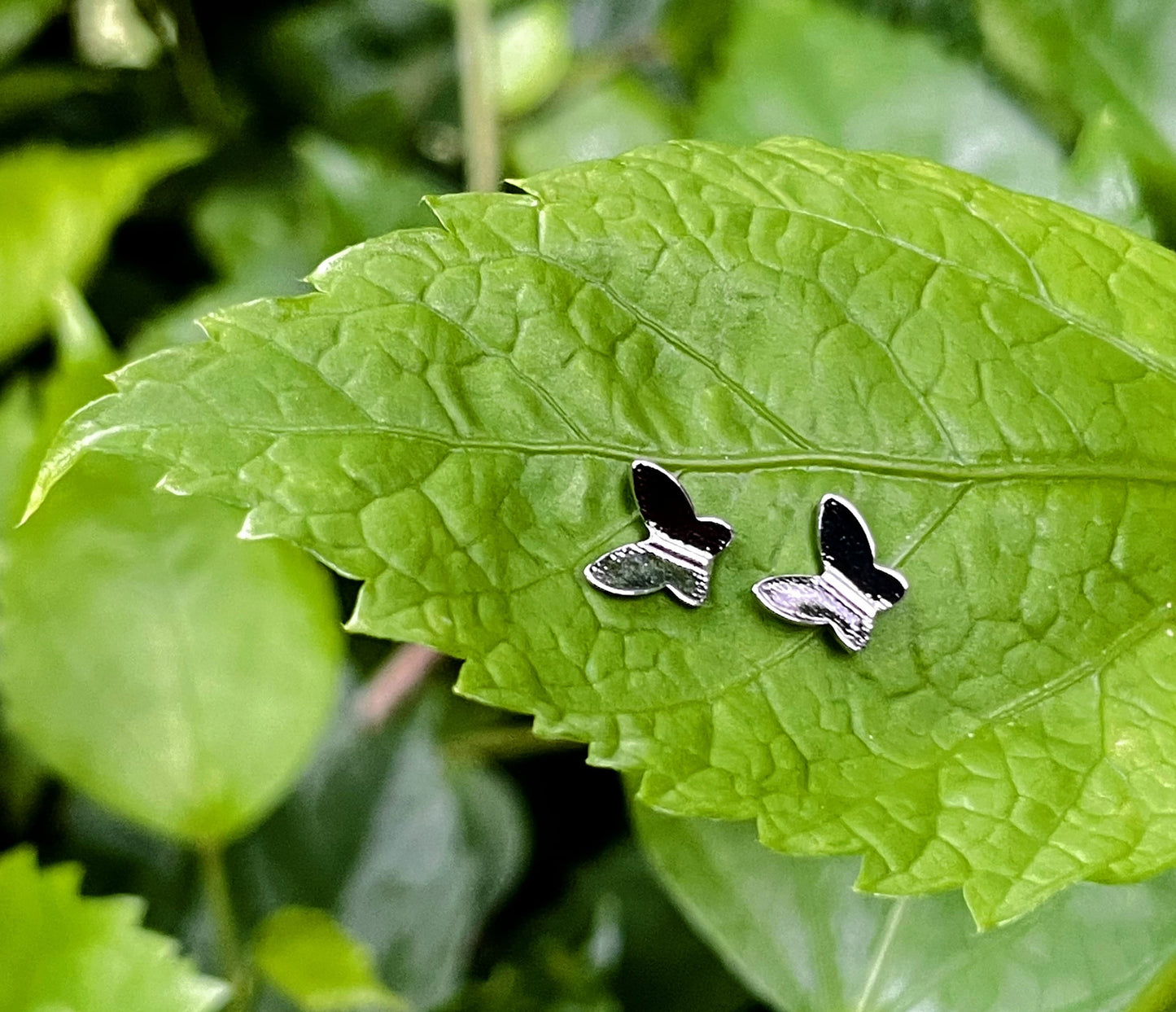 Butterfly stud silver earring